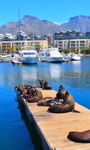 Coboară la atracțiile, muzeele și reperele din Cape Town cu un tur cu autobuzul hop-on hop-off – Opriri convenabile și vizitare în 2026